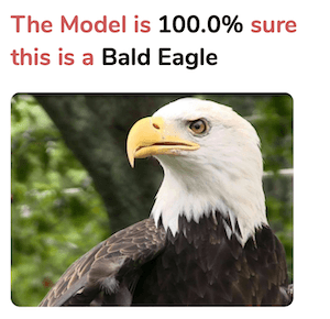 Predicted eagle