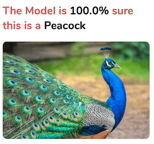 Predicted peacock