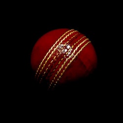 IPL Cricket League